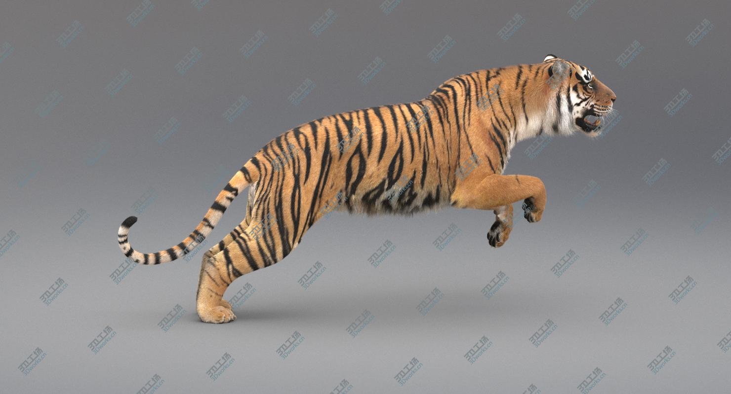 images/goods_img/20210113/3D Tiger Animated (Fur) model/4.jpg